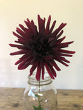 Nuit d'ete - Black Dahlia Tuber